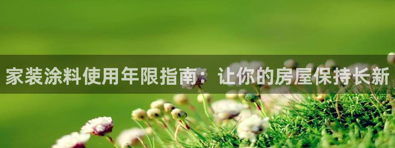 和记国际听：家装涂料使用年限指南：让你的房屋保持长新