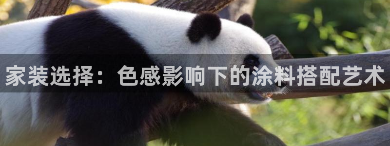和记官方网址：家装选择：色感影响下的涂料搭配艺术
