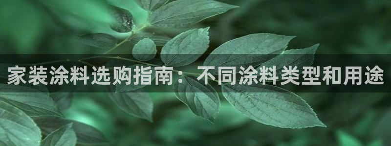 和记ag旗舰国际：家装涂料选购指南：不同涂料类型和用途