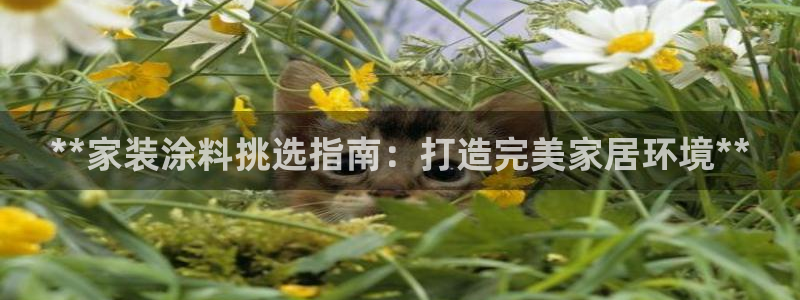 和记官网[中国]官方网站：**家装涂料挑选指南：打造完美家居环境**