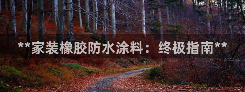 和记2017app：**家装橡胶防水涂料：终极指南**