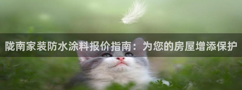和记ag旗舰厅：陇南家装防水涂料报价指南：为您的房屋增添保护