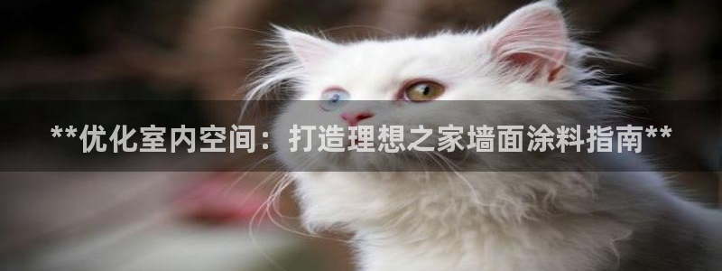 和记官网登录：**优化室内空间：打造理想之家墙面涂料指南**