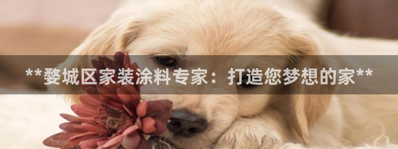 和记官方直营注册：**婺城区家装涂料专家：打造您梦想的家**
