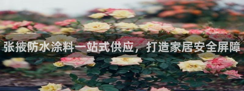 和记hj
