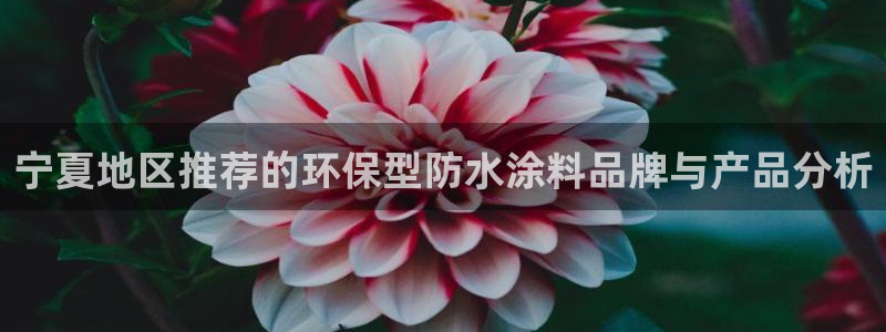 和记app官网登录
