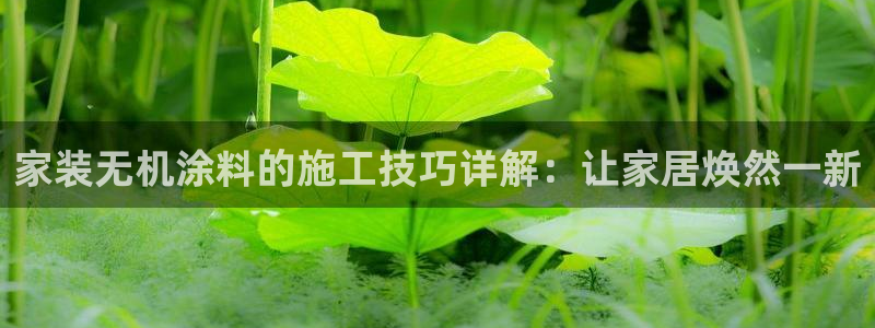 和记国际：家装无机涂料的施工技巧详解：让家居焕然一新