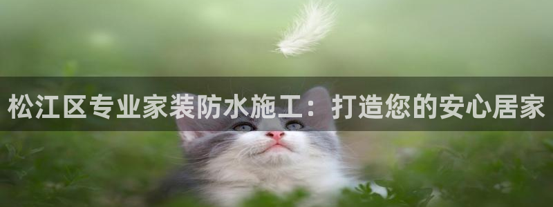 和记官网[中国]官方网站：松江区专业家装防水施工：打造您的安心居家