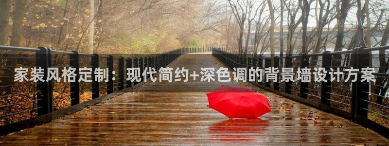 和记国际：家装风格定制：现代简约+深色调的背景墙设计方案