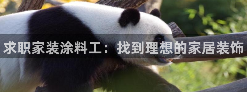 和记ag网页版：求职家装涂料工：找到理想的家居装饰