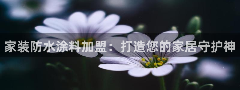 和记h88游戏：家装防水涂料加盟：打造您的家居守护神