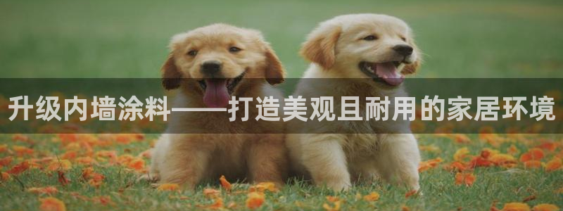 和记官方直营