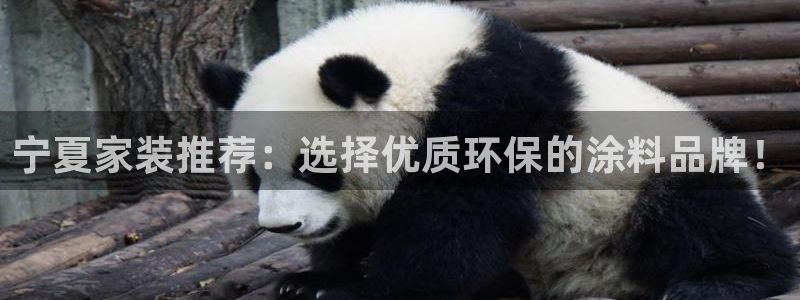 和记官网首页：宁夏家装推荐：选择优质环保的涂料品牌！