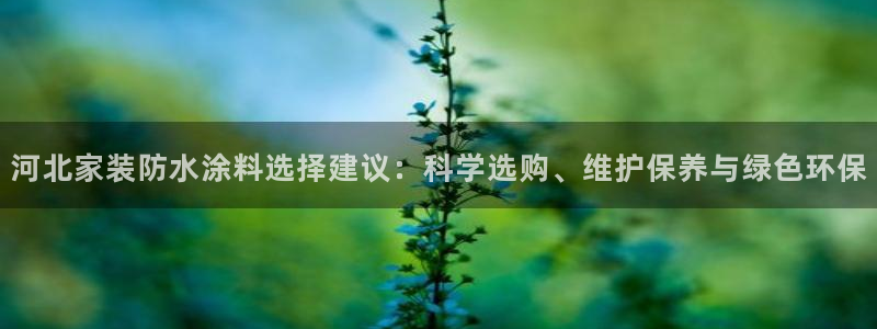 和记平台登陆：河北家装防水涂料选择建议：科学选购、维护保养与