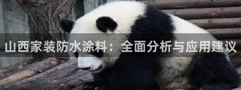 和记网页：山西家装防水涂料：全面分析与应用建议