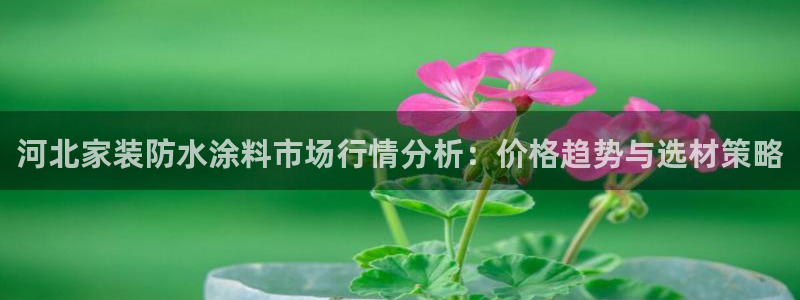 和记h88最新客户端下载：河北家装防水涂料市场行情分析：价格趋势与选材策略