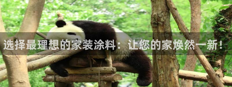 和记 首页：选择最理想的家装涂料：让您的家焕然一新！