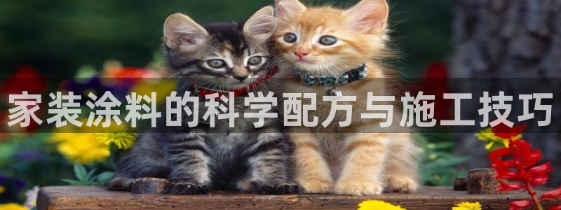 和记注册有什么送的：家装涂料的科学配方与施工技巧