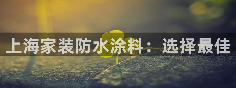 和记(福建)商贸有限公司：上海家装防水涂料：选择最佳