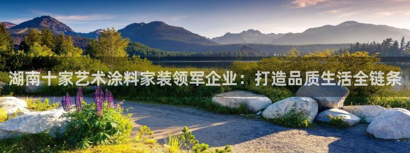 ag和记app：湖南十家艺术涂料家装领军企业：打造品质生活全链条
