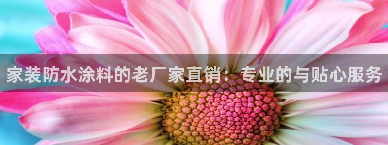 和记平台注册：家装防水涂料的老厂家直销：专业的与贴心服务