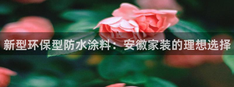 和记ag旗舰：新型环保型防水涂料：安徽家装的理想选择