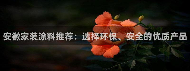 和记ag旗舰厅：安徽家装涂料推荐：选择环保、安全的优质产品