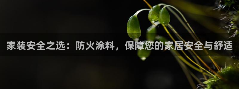 和记官方直营注册导航