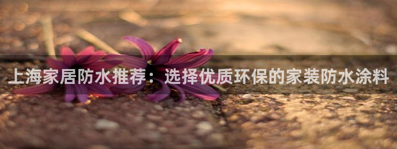 和记国际官网官网：上海家居防水推荐：选择优质环保的家装防水涂