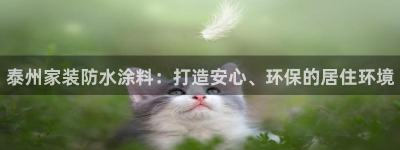 和记h88游戏：泰州家装防水涂料：打造安心、环保的居住环境