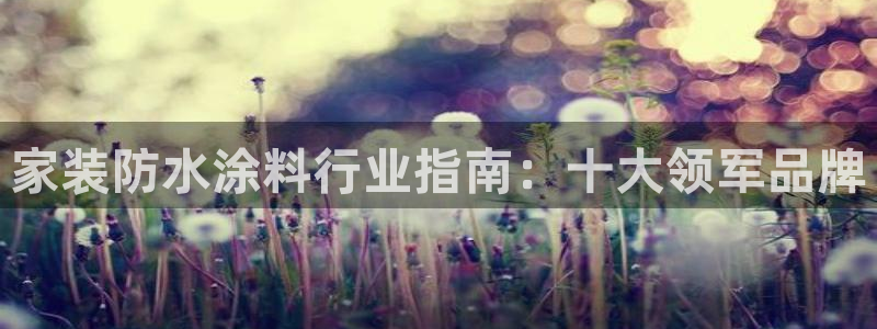 和记AG旗舰：家装防水涂料行业指南：十大领军品牌