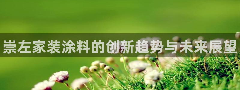 和记官网首页：崇左家装涂料的创新趋势与未来展望