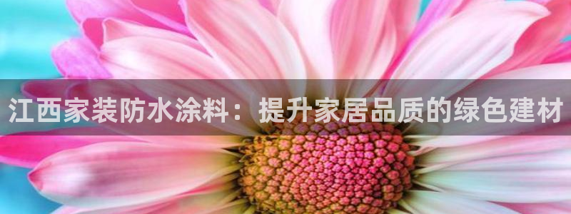 和记ag旗舰厅app：江西家装防水涂料：提升家居品质的绿色建材