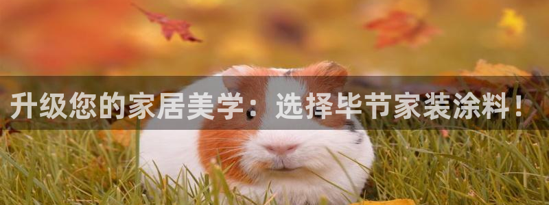 江苏和记数码科技有限公司