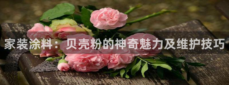 和记 首页：家装涂料：贝壳粉的神奇魅力及维护技巧