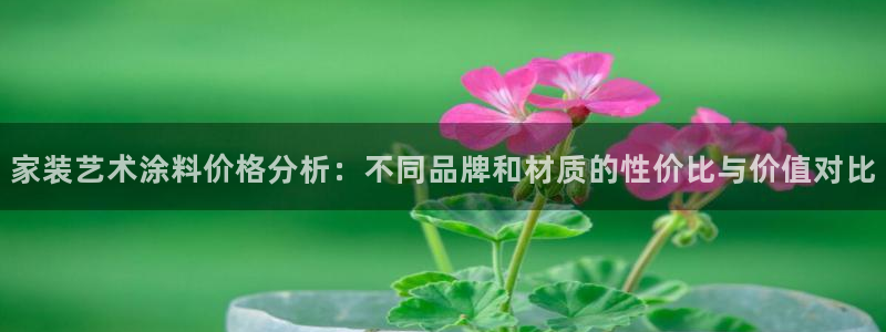 和记官方网址：家装艺术涂料价格分析：不同品牌和材质的性价比与价值对比