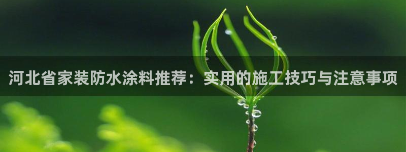 和记国际开户网站：河北省家装防水涂料推荐：实用的施工技巧与注