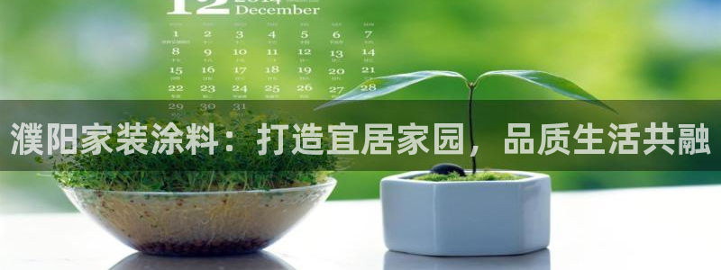 和记国际电讯市值：濮阳家装涂料：打造宜居家园，品质生活共融