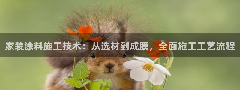 和记网页版登陆：家装涂料施工技术：从选材到成膜，全面施工工艺流程