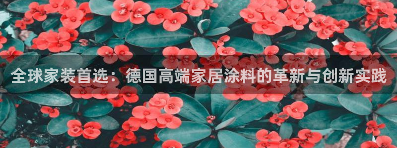 和记h8：全球家装首选：德国高端家居涂料的革新与创新实践