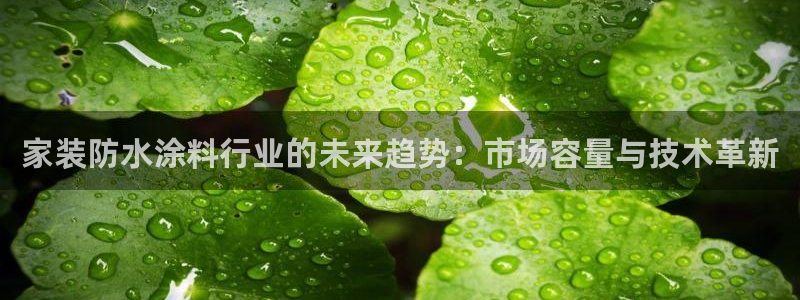 和记ag旗舰国际：家装防水涂料行业的未来趋势：市场容量与技术革新