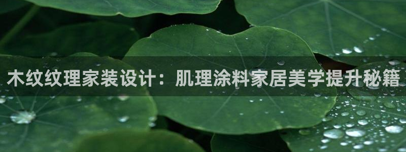 和记平台登录：木纹纹理家装设计：肌理涂料家居美学提升秘籍