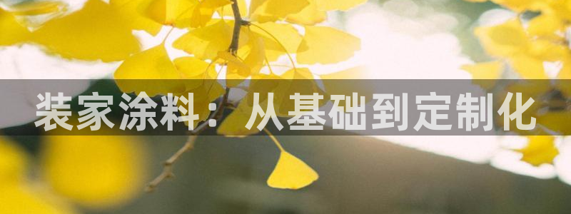 和记AG旗舰：装家涂料：从基础到定制化