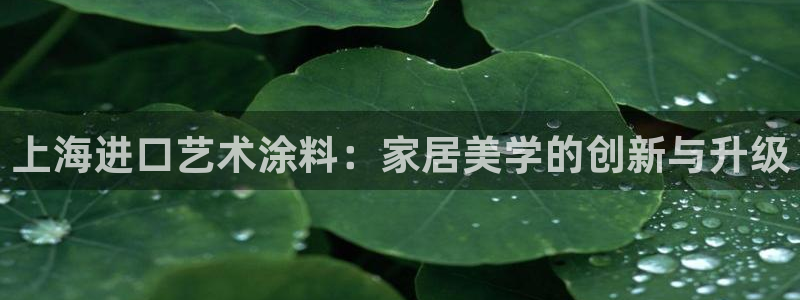 和记平台下载：上海进口艺术涂料：家居美学的创新与升级