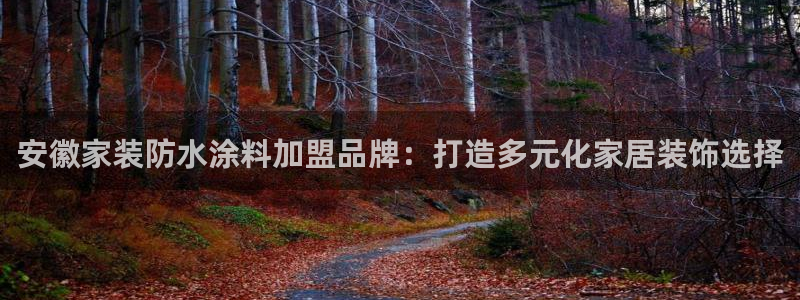 江苏和记数码科技有限公司：安徽家装防水涂料加盟品牌：打造多元化家居装饰选择