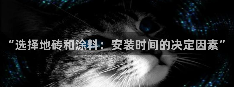 和记平台注册：“选择地砖和涂料：安装时间的决定因素”