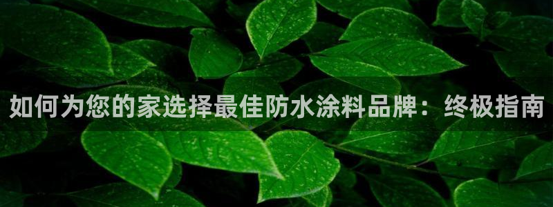 和记 官网：如何为您的家选择最佳防水涂料品牌：终极指南