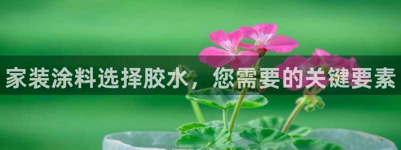 和记ag旗舰：家装涂料选择胶水，您需要的关键要素