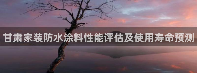 和记H88：甘肃家装防水涂料性能评估及使用寿命预测