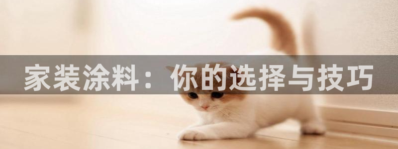 和记 首页：家装涂料：你的选择与技巧